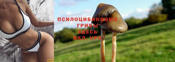 МДПВ Сураж