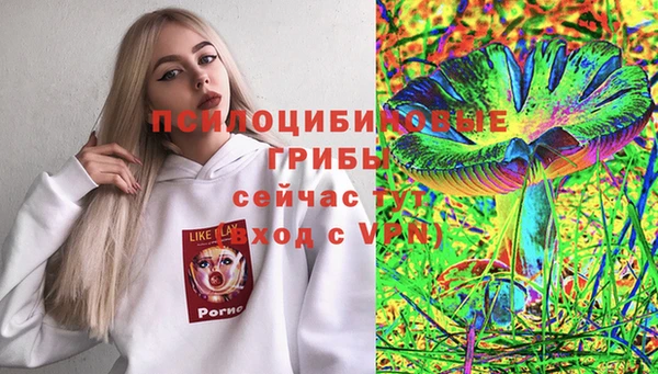 стафф Нефтегорск
