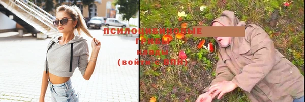 МДПВ Сураж
