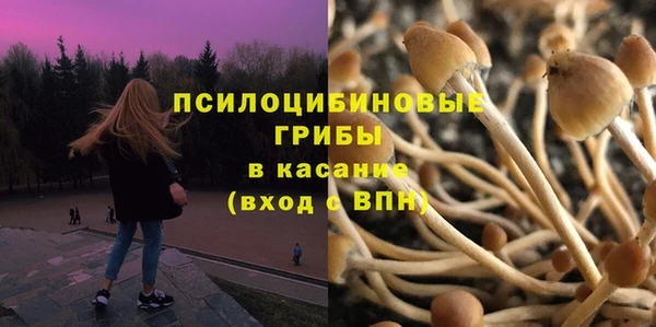 стафф Нефтегорск